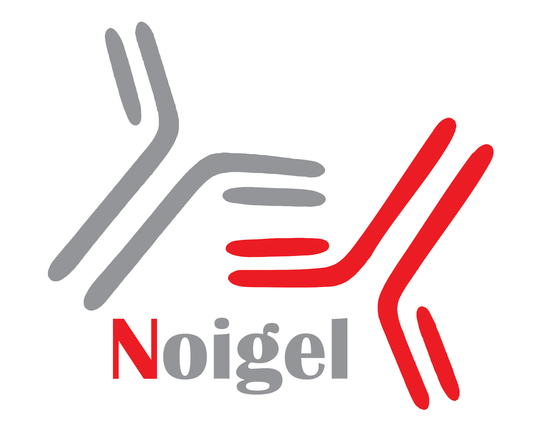 NOIGEL_LOGO